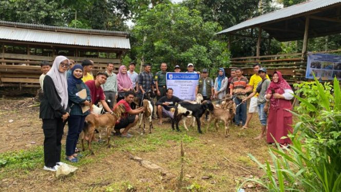 
					Dukung Peternak Lokal, Pemprov Sulbar Distribusikan 1.870 Ekor Kambing