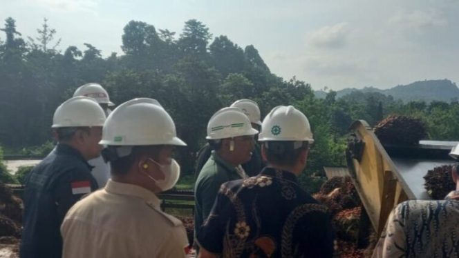 
					DPRD Sulbar dan Pemprov Pastikan Ketertiban Tera Timbangan Sawit untuk Lindungi Petani