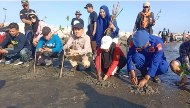 
					DLH Sulbar Tanam 500 Mangrove di Hari Mangrove Sedunia, Ajak Generasi Muda Jaga Pesisir